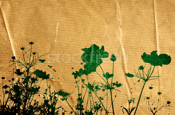 Yeşillik uzay metin görüntü doku orman Stok fotoğraf © ilolab