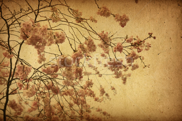 Jahrgang Papier floral alten schäbig Texturen Stock foto © ilolab
