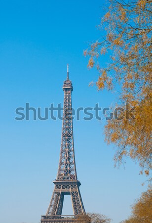 Eiffel Tower  Stock photo © ilolab