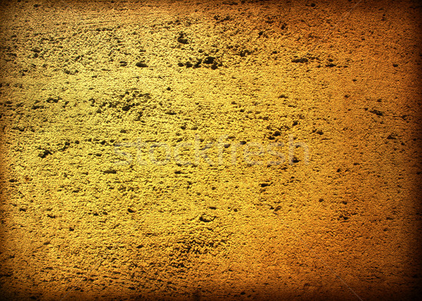 grungy wall Stock photo © ilolab