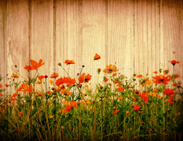 old flower paper textures Stock photo © ilolab