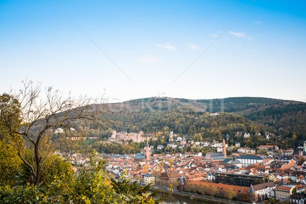 view to old town of Heidelberg, Germany  Stock photo © ilolab