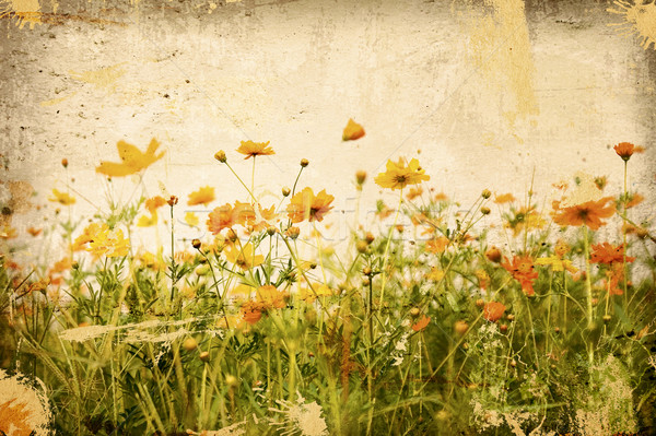 Foto stock: Velho · flor · papel · texturas · livro · folha