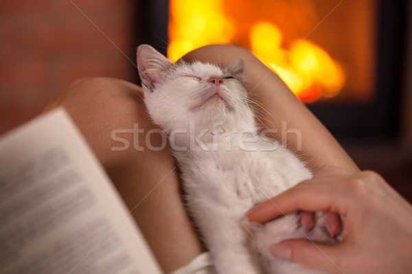 Little kitten enjoying massage lying in owner lap - sitting toge Stock photo © ilona75