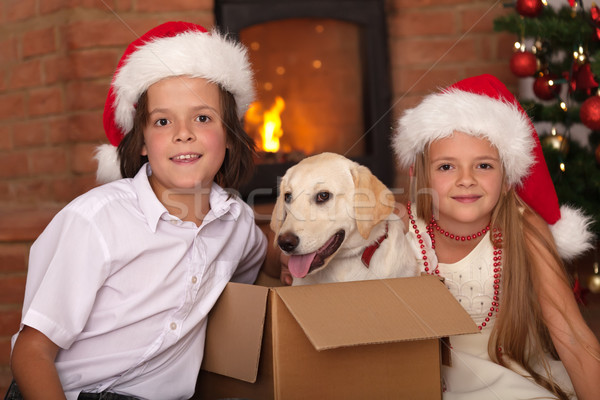 Stock foto: Kinder · neue · Haustier · Weihnachten · Zeit · glücklich