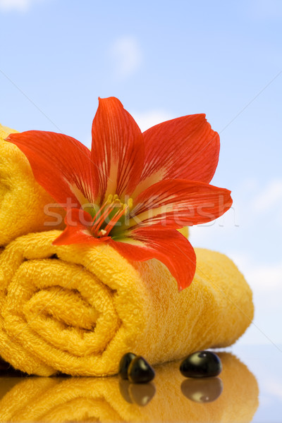 Foto stock: Estância · termal · objetos · céu · vidro · azul