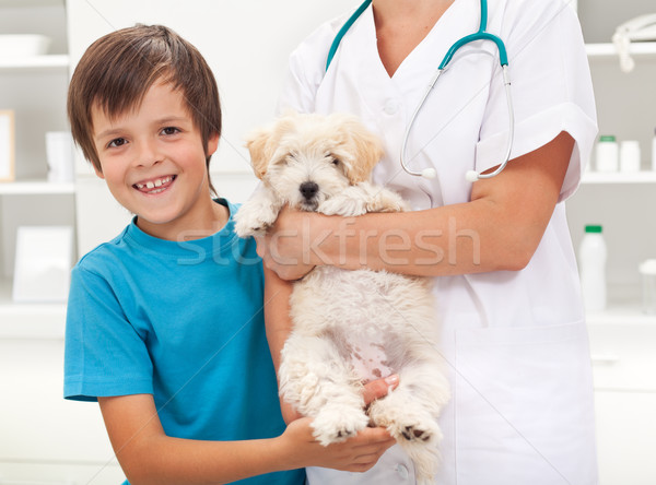 Băiat iubit câine pufos veterinar Imagine de stoc © ilona75