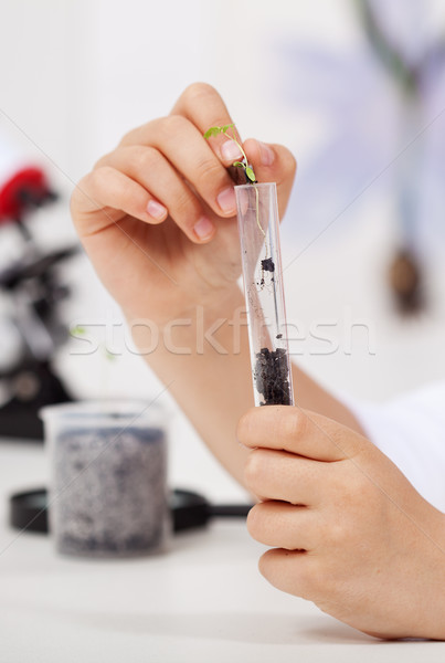 Young student in elementary school science class Stock photo © ilona75