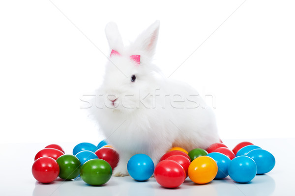 Cute white easter bunnz among colorful eggs Stock photo © ilona75