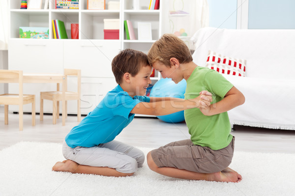 Two happy boys wrestling Stock photo © ilona75
