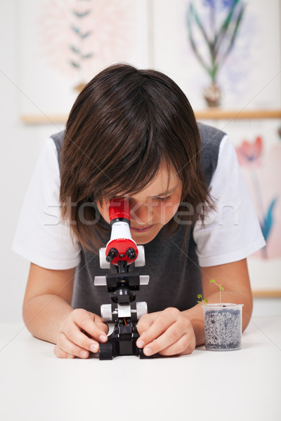 School boy in science class with microscope Stock photo © ilona75