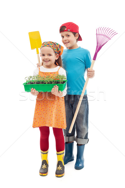 Kids ready to plant tomato seedlings in the spring Stock photo © ilona75