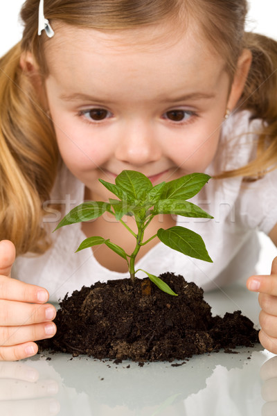 Happy little girl observing young plant Stock photo © ilona75