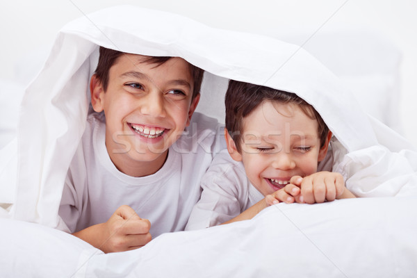 Little boys giggling together Stock photo © ilona75