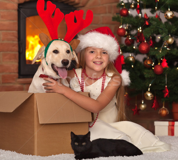 Celebrating christmas with my furry friends Stock photo © ilona75