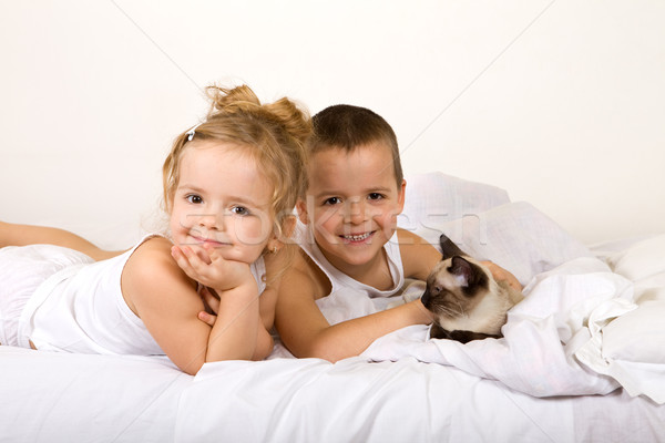 Happy kids with their kitten Stock photo © ilona75