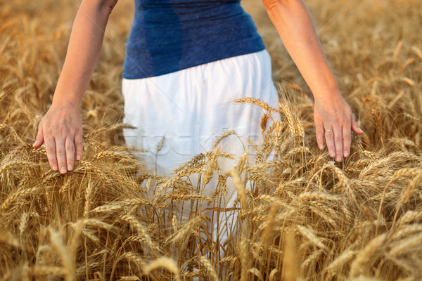 Obfitość życia kobieta spaceru pole pszenicy dotknąć Zdjęcia stock © ilona75