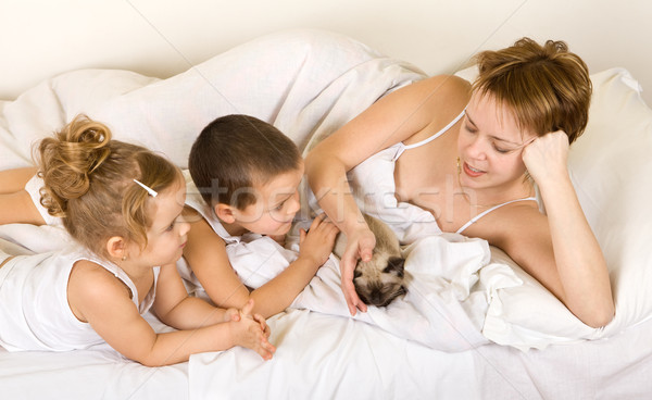 Familiy playing with a little kitten laying in bed Stock photo © ilona75