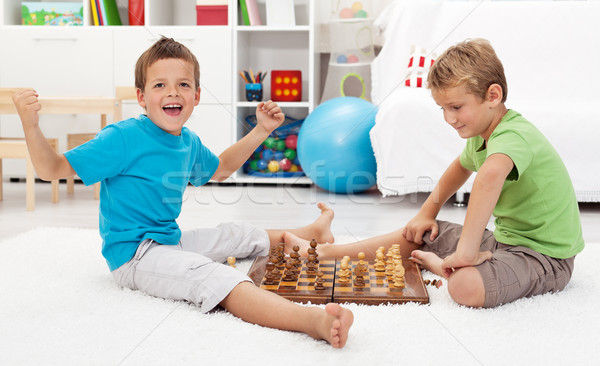 Boy wins chess game Stock photo © ilona75