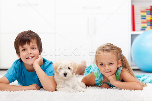 Kids with their pet Stock photo © ilona75