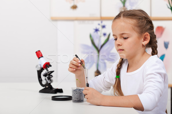 Young student in biology science class study small plants Stock photo © ilona75
