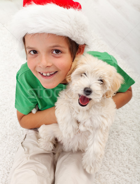 The best christmas present ever Stock photo © ilona75