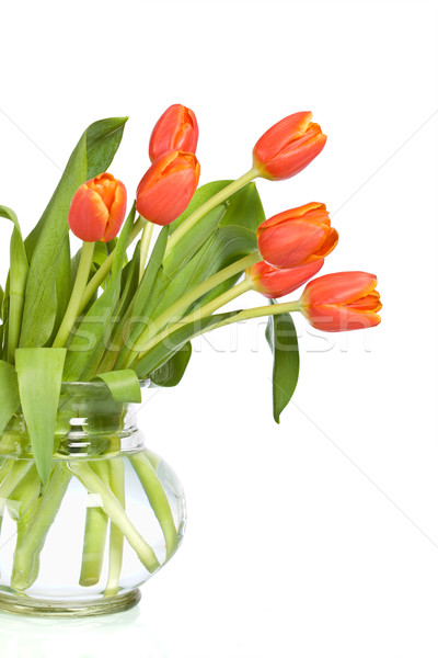 Orange tulips in glass vase Stock photo © ilona75
