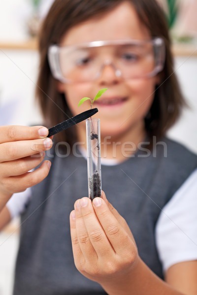Młody chłopak studia roślin ewolucji nauki klasy Zdjęcia stock © ilona75