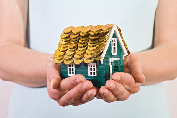 Home insurance concept Stock photo © ilona75