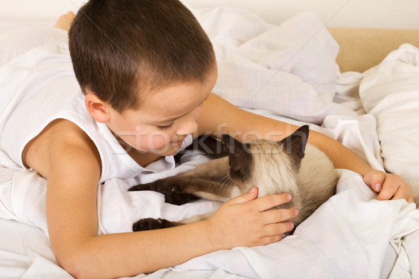 Little boy caressing his kitten in bed Stock photo © ilona75