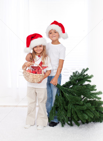 Kids preparing to decorate the christmas tree Stock photo © ilona75