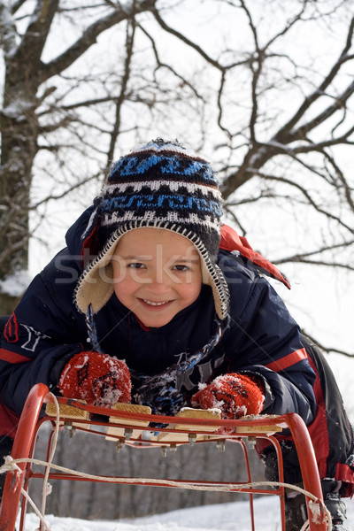 Foto d'archivio: Kid · slitta · rosy · guance · inverno