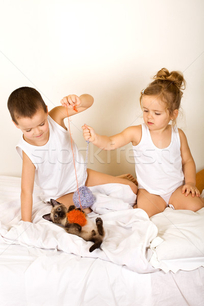 Stock photo: Kids playing with their kitten on the bed