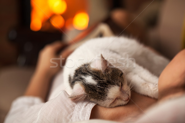 A purrfect evening - woman relaxing with her kitten Stock photo © ilona75