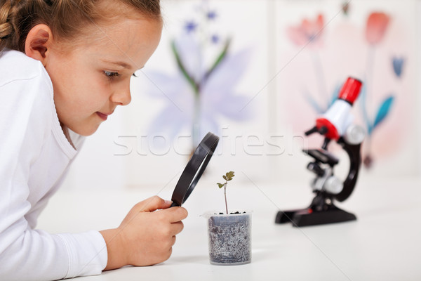 Young girl study a plant growing in plastic recipient Stock photo © ilona75