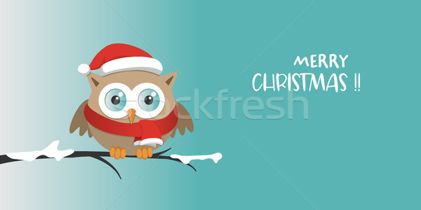 Male owl with Santa Claus hat on a branch in a snowy day Stock photo © Imaagio