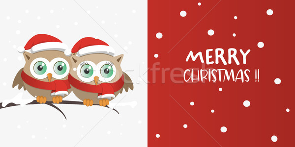 Stockfoto: Paar · uilen · kerstman · hoed · tak · dag