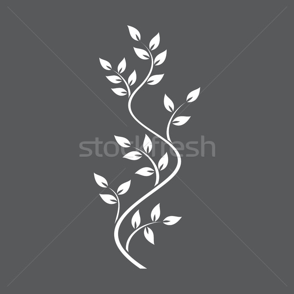 Natural ornamentation with ivy on dark background Stock photo © Imaagio