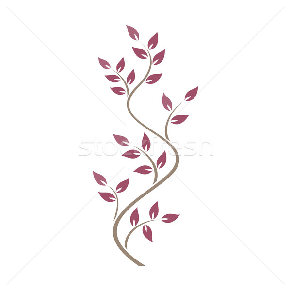 Natural ornamentation with pink ivy on white background Stock photo © Imaagio