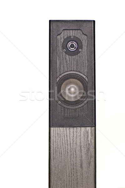 Speaker Stock photo © Imagecom