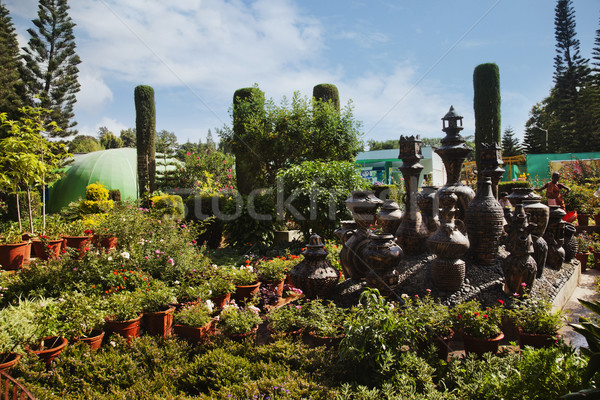 Decorative urns in a park, Peace Park, Mount Abu, Sirohi Distric Stock photo © imagedb