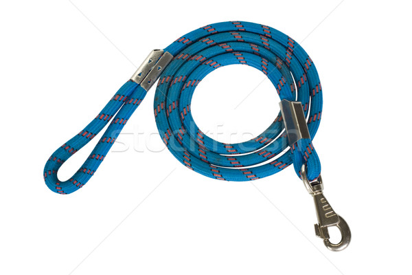 Hund Leine blau Seil Fotografie Stock foto © imagedb