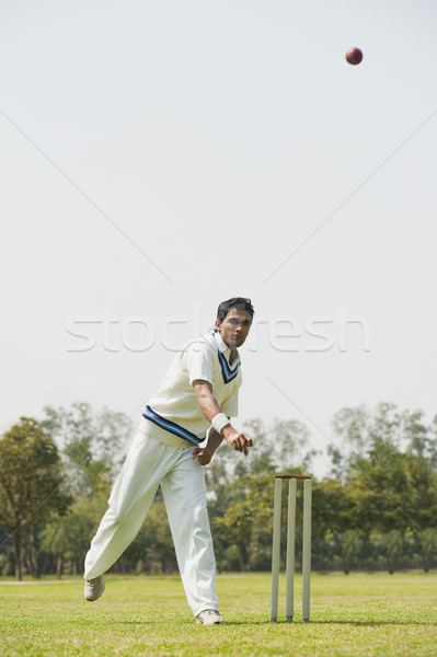 Kriket top atan oyuncu eylem çim adam spor Stok fotoğraf © imagedb