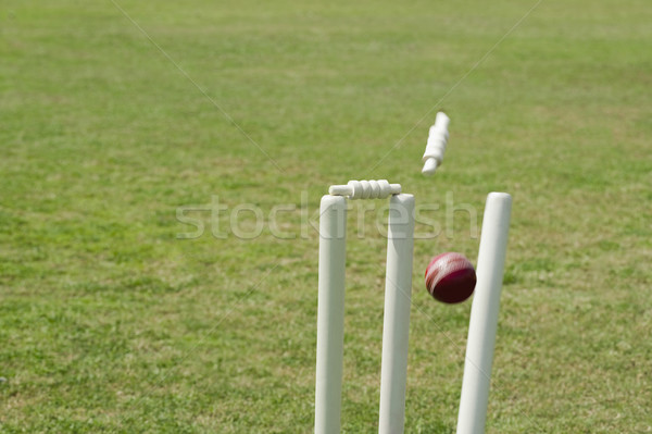 ストックフォト: クリケット · ボール · 草 · 木材 · 写真 · 球