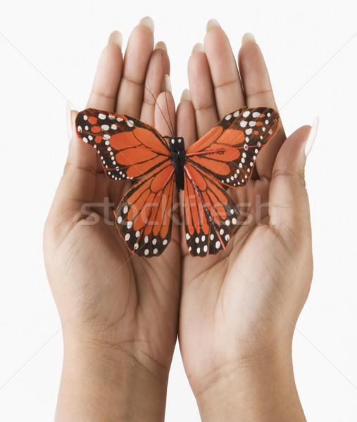 Handen vlinder hand alleen vrouwelijke Stockfoto © imagedb