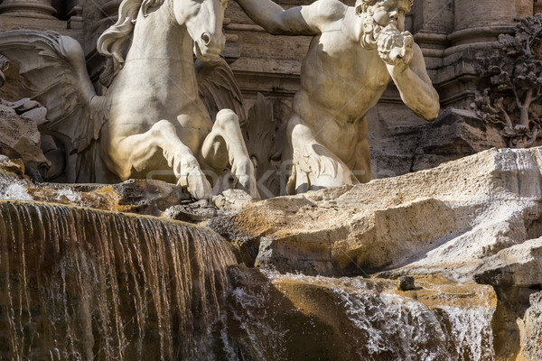 çeşme trevi Çeşmesi Roma su at sanat Stok fotoğraf © imagedb