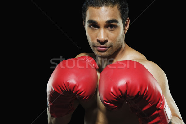 Masculina boxeador hombre energía Foto stock © imagedb