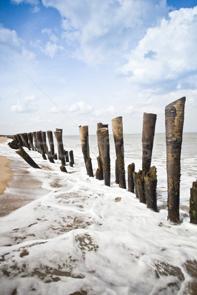 Holz Strand Indien Himmel Holz Meer Stock foto © imagedb