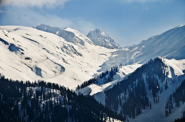 Neve coperto montagna inverno albero natura Foto d'archivio © imagedb