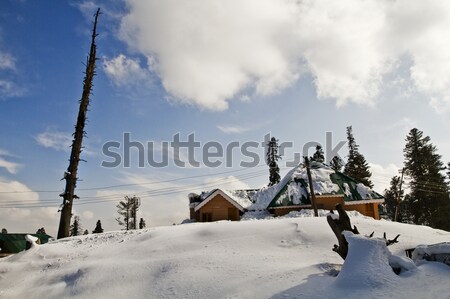 Lodges in a snow covered area, Kashmir, Jammu And Kashmir, India Stock photo © imagedb